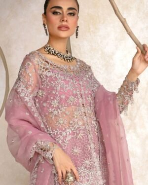 rang rasiya organza suit with silk trousers