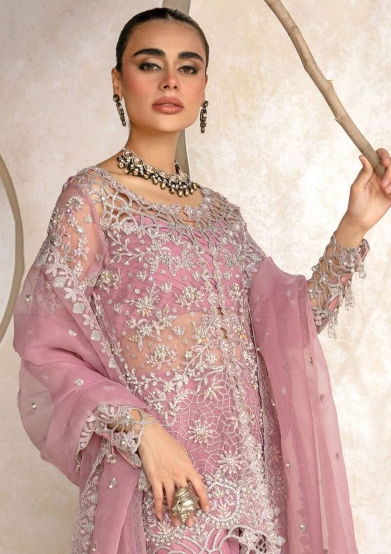 rang rasiya organza suit with silk trousers