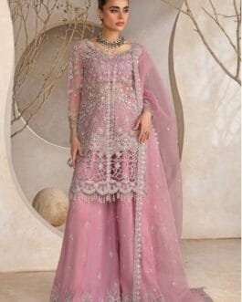 rang rasiya organza suit with silk trousers