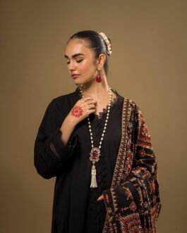 tana bana Dhanak Winter 2025 Collection