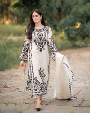 Agha noor dresses Winter 2024 hot Collection