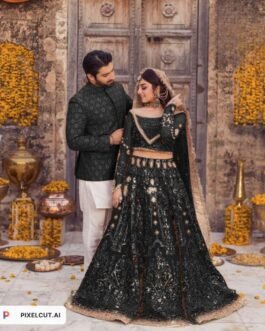 Elan pk women’s wear  Wedding Collection 2024