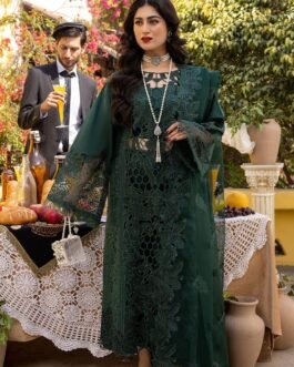 bin ilyas lawn summer collection 2025
