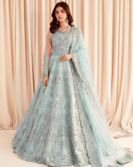 net frock design for girl by Maria b 2025
