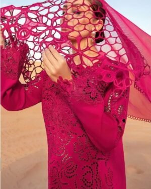 rang rasiya Chikankari  Luxury summer collection